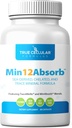 MIN12AbsorbTM Essential & Trace Mineral Kompleksi | Soy-Free, Non-GMO, Vegan, 30-Day Supply - Hücre Sağlığı ve Günlük Vitality için Aborpsiyonunu Geliştirdi