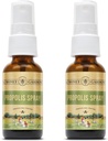 Honey Gardens Bee Propolis Throat Mix | with Apiterapi Raw Honey, Licorice Root and Usnea | 50 Hizmet | 1 Fl Oz | 2 Paket