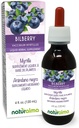 Naturalma Bilberry veya Avrupa Blueberry (Vaccinium myrtillus) Meyve Alkol Özgür Tincture - 4 fl oz Sıvı Ekstraksiyon - Herbal Supplement - Vegan
