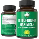 CoQ10 ve Active PQQ ile Mitochondria Maximizer.En İyi Mitochondrial Support Supplement with MCT Oil. Natural Cellular Jeneratör for Clean, Focused Energy 60 Vegetarian Capsules