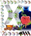 All Natural Detox Cleanse Instant Tea Mix Prune & Plant w. Fiber & Inulin for Optimal Intestinal Transit by FuXion Prunex 1 (10 Sachets)