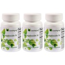Super-Abxia Astragaloside IV% 98 Anti-Aging Supplements for Adult Immune Support 50 mg/Cap 90 Caps in 3 Şişe