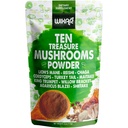 Wixar Mushroom Toz - On Hazine Odaları Kahve ve Smoothies için Tamam Ölüyor - Lions Mane, Türkiye Tail, Reishi, Chaga, Shiitake, Cordyceps, Kompleks - 4oz Mushroom Supplement