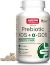 Jarow Formulas Prebiotic XOS + GOS - Fiber Complex Supplement - 90 Chewable Tablets - Enriches & Nourishes Gut Microbiome - Υποστηρίζει την ανάπτυξη των Ωφέλιμων Βακτηρίων - 30 Υπηρεσίες
