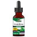 Απάντηση της φύσης Gotu Kola Herb Αλκοόλ Δωρεάν, 1-Fluid Ουγγιά 