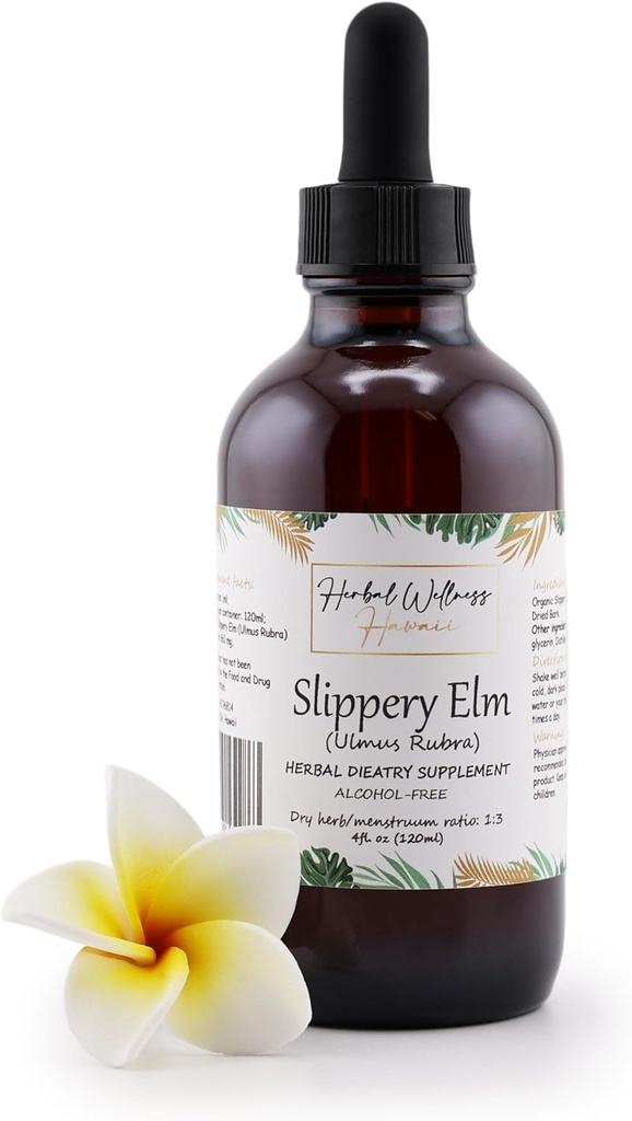 Terpery Elm (Ulmus Rubra) kuru Bark Alkol Ücretsiz Sıvı Tür (4 oz)