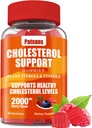 1 συσκευασία Cholesterol Support Gummies, περιέχει 2000MG φυτικών στερολών & στερολών, Cholesterol Complex Gummies, Υποστήριξη Υγιή επίπεδα χοληστερόλης, Ενεργειακή υποστήριξη, μικτή γεύση μούρου, 60 Counts