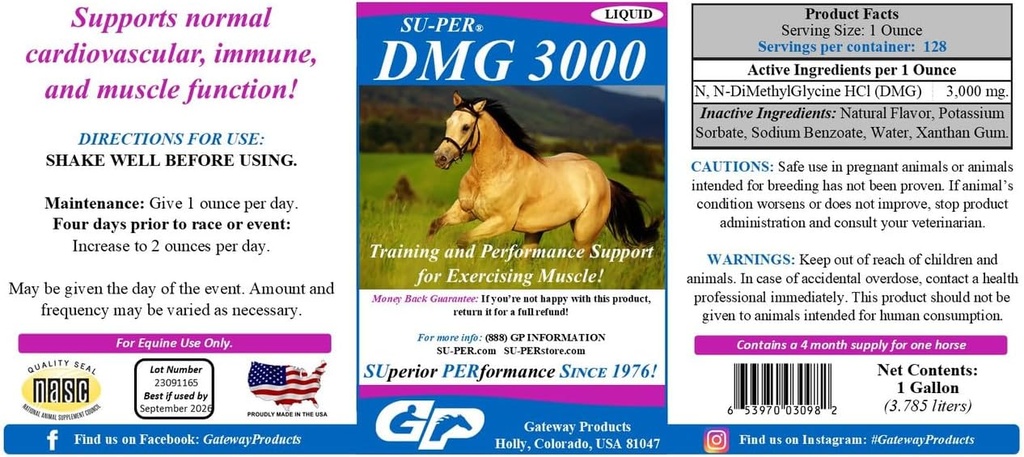 SU-PER DMG 3000 συμπλήρωμα αλόγων - Εκπαίδευση & Υποστήριξη απόδοσης Υγρό - Υποστηρίζει τη φυσιολογική καρδιοαγγειακή λειτουργία του ανοσοποιητικού και των μυών - 1 Gallon, 4 μήνες προσφοράς
