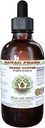 Yeşil Kahve Alkol Özgür Sıvı Ölçeği, Yeşil Kahve (Coffea Arabica) Kuru Bean Glycerite Hawaii Pharm Natural Herbal Supplement 4 ozz