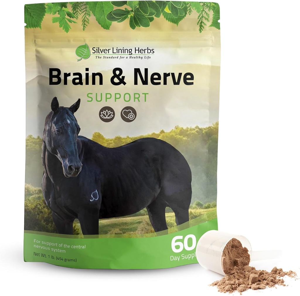 Silver Lining Herbs Brain & Nerve Support Supplement for Horses - Horse Supplements for Focus, mental Health & Brain Support - Contains Herbal Mix of Ginkgo, Gotu Kola, & More - 1 lb 60-Day Supply
