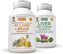 ANDREW LESSMAN PC Liver ve Beyin Faydaları + Liver Anti-Oxidant Extracts Kit: 300 Capsules (180+120) - Phosphatidyl Choline, Milk Thistle, Artichoke, Curcumin.