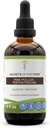 Tribe Pine Pollen testosteron Alkol Maddesi, Wildcrafted Pine Pollen (Scots Pine, Pinus sylvestris) kuru Pollen (4 FL OZ)
