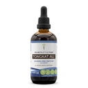 Tribe Tongkat Ali Alkol-Free Liquid Extract, Wildcrafted Tongkat Ali (Eurycoma Longifolia) kıl Kök (4 FL OZ)