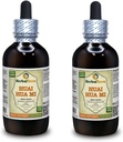 Huai Hua Mi (Sophora Japaneseica) Tincture, Organik kuru Çiçek Buds Sıvı Ekstraksiyon (Brand adı: HerbalTerra, Proudly ABD'de yapıldı) 2x4 fl.oz (2x120 ml)