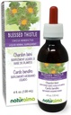 Naturalma Blessed Thistle or Holy Thistle (Cnicus benedictus) herb with Flowers Alcohol-Free Tincture - 4 fl oz Liquid Extract in Drops - Herbal Supplement - Vegan