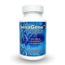 Benagene Oxaloacetate Supplement - Destek Hücreleri Enerji - Vitamin C ile Termal Olarak Stabilize - Non-GMO & Vegan - 30 Servisler, Bir Kez Günlük Günlük Olarak 30 Hizmet