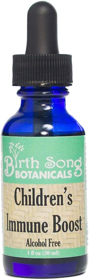 Doğum Song Botanicals Çocuk Immune Boost Tincture *, Çocuklar Immune System Support Supplement with Echinacea, Liquid Herbal Immune Drops for Kids, Children's Echinacea Herb Immune Formula 1oz Şişe