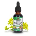 Nature's Answer Bupleurum Chinense - Natural Herbal Supplement - Gluten Alkol Özgür - Liver Immunity General Health Wellness - 1000 mg (1 FL Oz)
