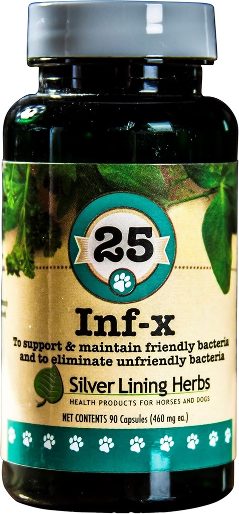 Silver Lining Herbs 25 Canine INF-X - Βοηθά στη διατήρηση των επιπέδων υγιούς πέψης - Φυσική υποστήριξη για την κανονική διαδικασία αποτοξίνωσης - φυτικό συμπλήρωμα υγείας για σκύλους - 90 κάψουλες