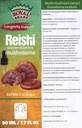 Reishi Mushroom Supplement / Bizim Reishi Mushroom Ekstraksiyonu Longevity /Reishi Mushroom Tincture - 50 ml / 1.7 Fl Oz