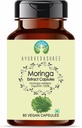 Moringa Extract 500mg - 60 Vegetarian Capsules | Moringa Oleifera | All Natural | 100% Vegan | Gluten-Free | GMP Certified.