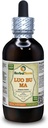 Luo Bu Ma, Dogbane (Apocynum Venetum) Tincture, kadit (Brand Name: HerbalTerra, Proudly Made in USA) 4 fl.oz (120 ml)