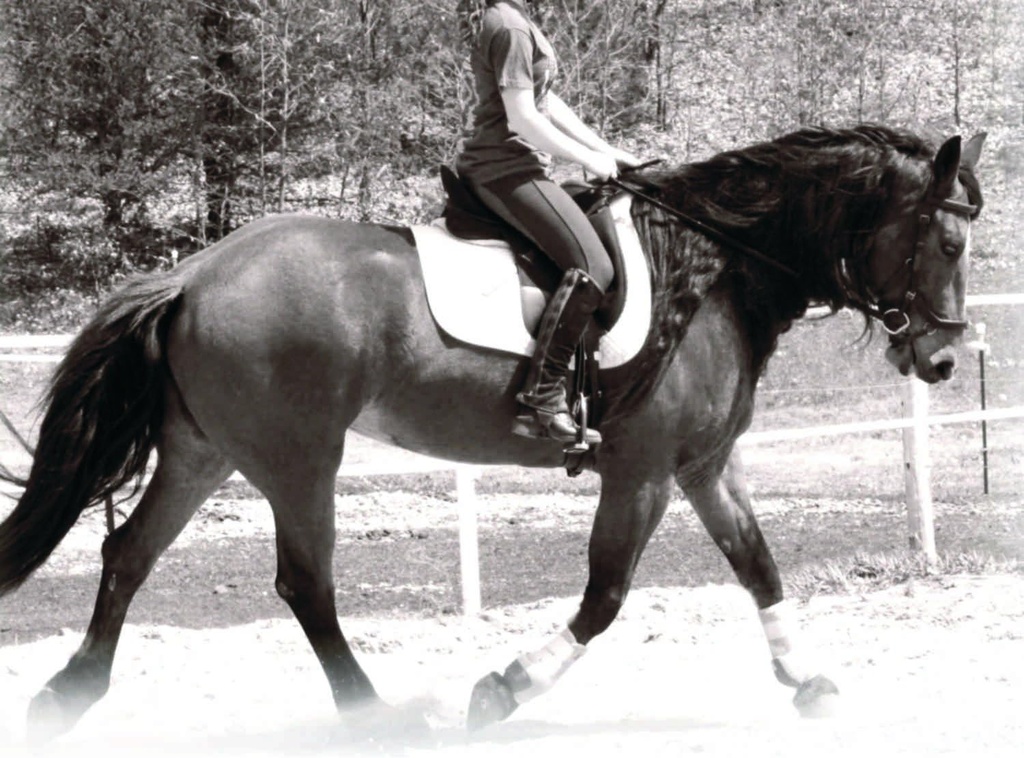 Horses All Natural Pure Raspberry ve Peppermint Leaf Herbal Mix 14 oz için hormon ve Calming Supplement.