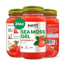 Deniz Moss Gel Raw (12 Flavors) 24oz Vahşi Yasaklı Altın Deniz Moss Gel Saint Lucia | 92 Vitamin ve Minerals | Pure Raw+Non-GMO | Vegan Superfood