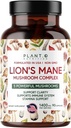Plant.O Premium Lion's Mane Supplement, All Natural Nootropics Brain Supplement, 5 Mushroom Kompleksi - Lion's Mane, Reishi, Chaga, Maitake, Shiitake for Immunity, Focus, Mood & Memory Boost, 90 Caps