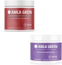 Amla Toz & Yeşil Çay Superfood Supplement, Antioksi Desteği, Hibiscus (90 hizmet) &Elderberries (30 hizmet), Organik, Vegan