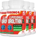 1660MG Ουρολιθίνη Ένα συμπλήρωμα - Λιποσωμική Ουρολιθίνη 240 Κάψουλες