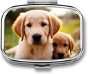 Pill Box 2 Karşılaştırma Meydanı Pill Organizer Daily Small Pill Case for Travel Cute Golden Accessr Puppy Metal Pill Konteyner Portatif Tıp Pill Vitaminleri Balık Yağ Tamamlayıcı