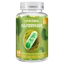 800 MG Liposomal Sulforaphane, Maksimum Aborpsiyon ve Potency için Güçlü Çift-Delivery, Full-Spectrum Broccoli Ekstraksiyon, Antioksi & Liver Supplement, 60 Softgels