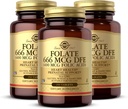 Solgar Folate 666 mcg DFE (Folic Acid 400 mcg) - 250 Tablet, 3 Paket - Prenatal Destek - Non-GMO, Vegan, Gluten Free, Dairy Free, Kosher - 750 Toplam Hizmetler