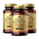 Solgar Folate 666 mcg DFE (Folic Acid 400 mcg) - 250 Tablet, 3 Paket - Prenatal Destek - Non-GMO, Vegan, Gluten Free, Dairy Free, Kosher - 750 Toplam Hizmetler