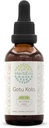 Gotu Kola B60 Tincture Alcohol-Free Herbal Extract, Concentrated Liquid Drops Natural Gotu Kola (Centella Asiatica) 2 fl oz