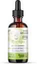 Bacopa Drops - Improves Memory Concentration, Focus - Bacopa Monnieri Ekstraksiyon | Beyin Tamamlayıcı Bilişsel Geliştirme | Herbal Remedy 2.0 fl oz - WellnessHerbs ABD'den Gemiler.