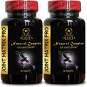 Ortak Matrix PRO Kompleksi - Ortak Destekler, Dizler, Erkekler ve Kadınlar için Kartilage, Doğal Glucosamine Chondroitin ile MSM - Hip & Ortak - 2 Şişes