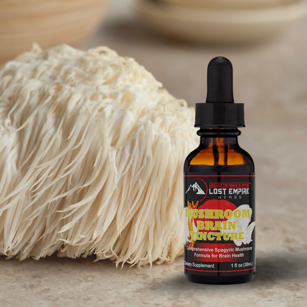 Lost Empire Herbs Mushroom Brain Spagyric Tincture | Lion's Mane, Cordyceps, Reishi, Oyster Mushrooms for Cognition (1 fl oz)