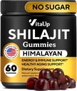 Himalaya Shilajit Gummies for Men & Women - Pure Shilajit for Men Gummies - Sugar Free Gummy Supplements with Fulvic Acid - Health Aging, Immune & Energy Support - 60 Count