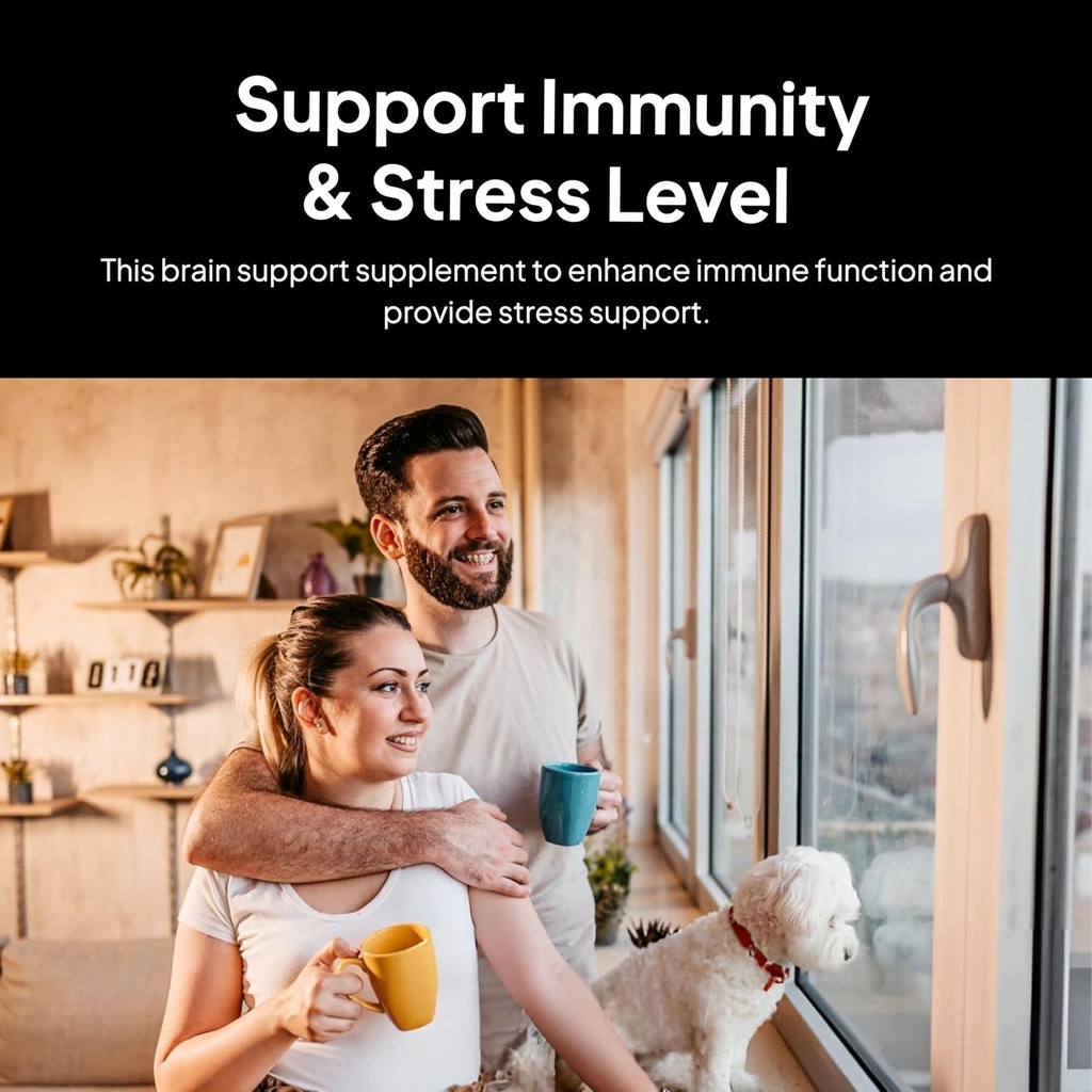 Doktor Morse'nin Beyin & Sinir Sistemleri Desteği - Destek Immunity & Stres Düzeyi - Naturopath Formulated Nootropic Supplement - Ginkgo Leaf, Gotu Kola, Astragalus Root & Butchers Broom - 90 Capsules