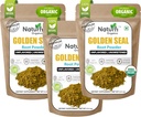 Naturefi Organic Goldenseal Root Toz - 10.5 oz, 300 Hizmetler *USDA Organic | Lab Tested* Pure Natural Goldenseal Root Toz Supplement