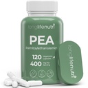 LongLifeNutri Palmitoylethanolamide (Pea) 400mg - 120 κάψουλες χορτοφάγων, Βιολογικό συμπλήρωμα για τη διαχείριση της δυσφορίας, 4-Month Supply, Lab Tested, Made in USA