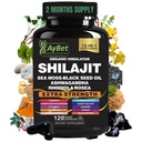 Shilajit για άνδρες και γυναίκες-Οργανικά κάψουλες Ιμαλαΐων Shilajit με θαλάσσια Moss, Μαύρο Έλαιο Σπέρματος, Ashwagandha, Rhodiola Rosea, Burdock, Cordyceps Mushroom, Ginseng, Turmeric, Ginger, 120 κάψουλες