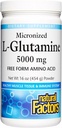 Doğal Faktörler Mikronized L-Glutamine 5.000 mg Toz - Easy Abors Gut Health Support Supplement - Tozlu Asit Supplement Supports Muscle Recovery - 16 oz (90 Hizmet)