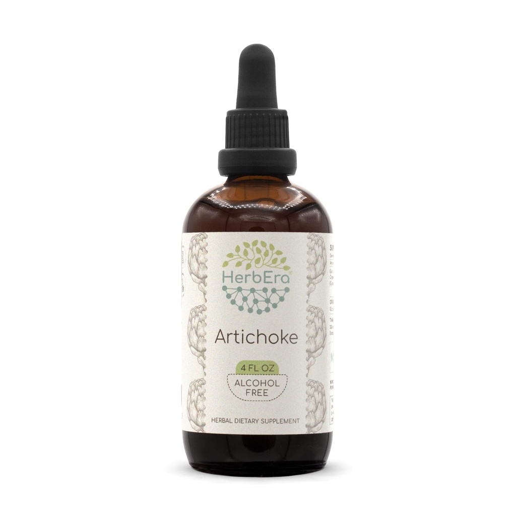 HerbEra Artichoke B120 Alkol-Free Herbal Extract Tincture, Tempd Liquid Drops Natural Artichoke (Cynara scolymus) (4 fl oz)