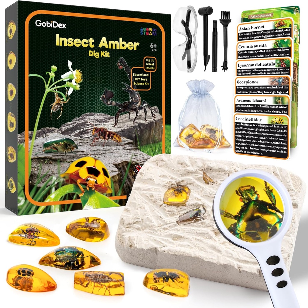 GobiDex Amber Dig Kit-Artificial Toys, Excavate 6 Insects Specimens, STEM Coğrafi Eğitim Bugs Oyuncakları, Fun Bugs Parti Favors, Science Kits for Kids Age 6-8 8-12
