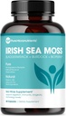 Pure Micronutrients Irish Sea Moss Capsules - Organik İrlandalı Seamoss Pills with Bladderwrack, Burdock & Black Pepper for Energy, Immunity, Thyroid, Digestion, Heart and Bone Health