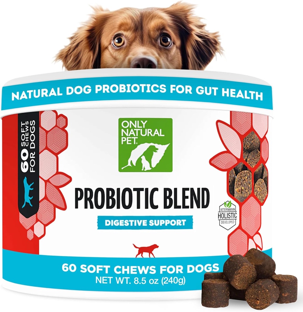 Μόνο φυσικό κατοικίδιο ζώο Probiotic Dog and Cat συμπλήρωμα - Digestive & Gut Health Enzyme Formula, Puppy & Canine Digestive Chews, Best for Stomach Relief & Gas Aid - Μαλακά μάσημα, 60 Count.