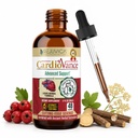 Rejuvica Health CardioVance - Kalp Desteği Tamam - Daha İyi Aborpsiyon için Sıvı Teslimat - Hawthorne, Hibiscus, Arjuna, Olive Leaf & More!
